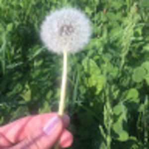 Meet your Posher, Maren